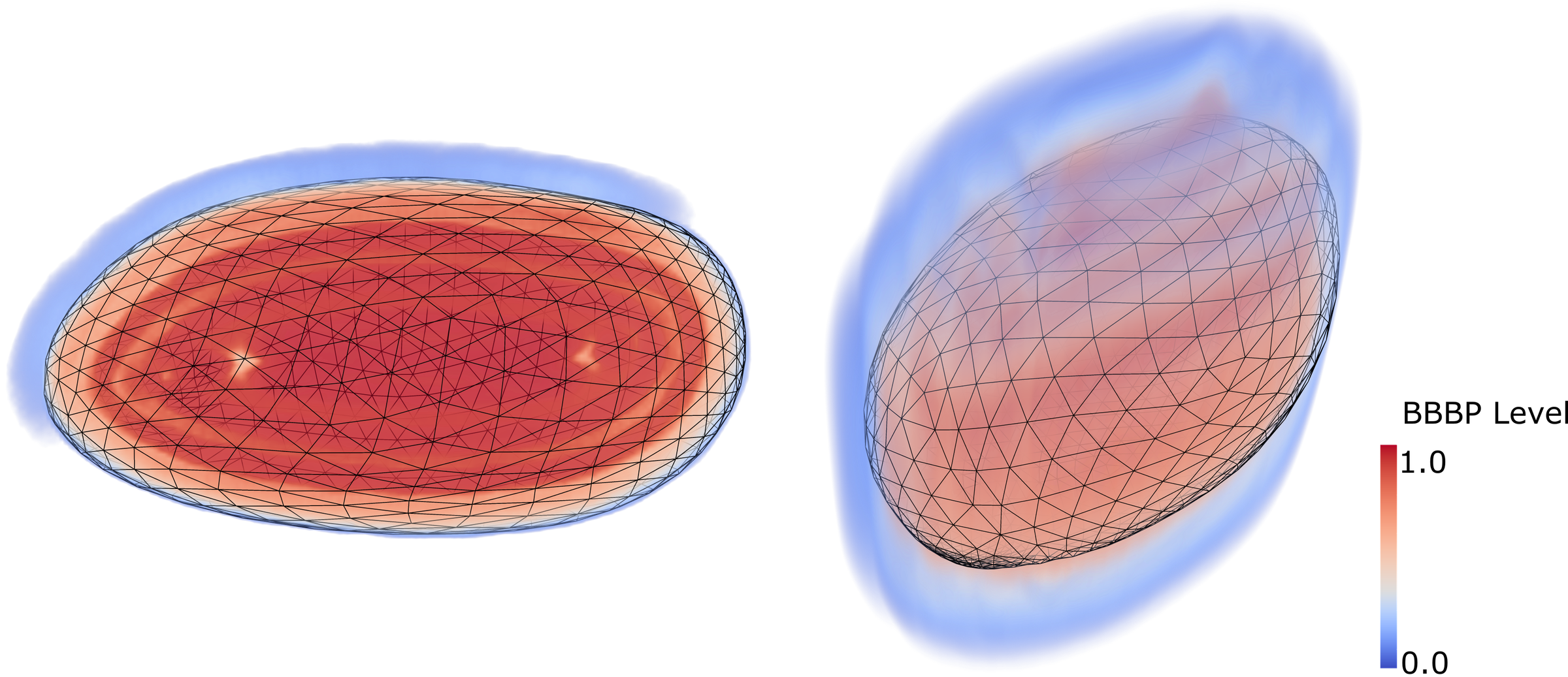 Simulated permeabilization level over an ellipsoidal target mesh, in cross-section and in 3-D, from 0 (blue) to 1 (red).
