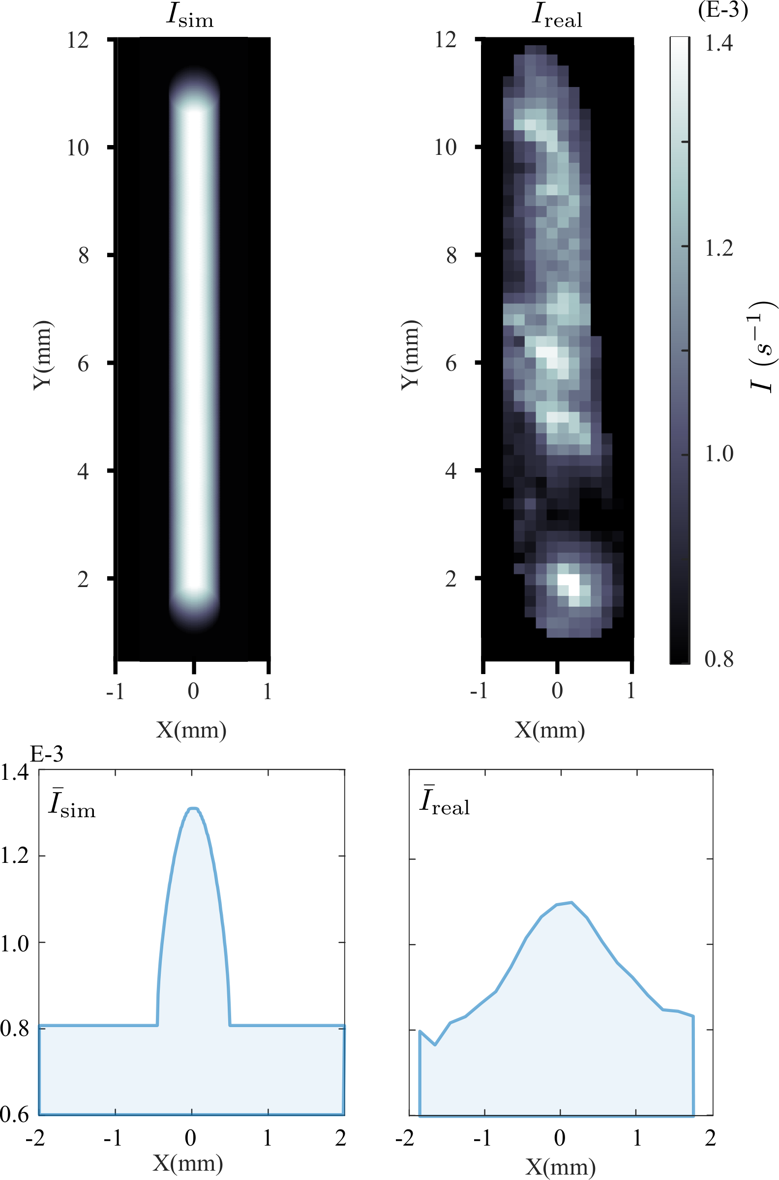 Simulated and measured permeabilization maps of the pulsed line side by side, with their mean intensity profiles across the line below.