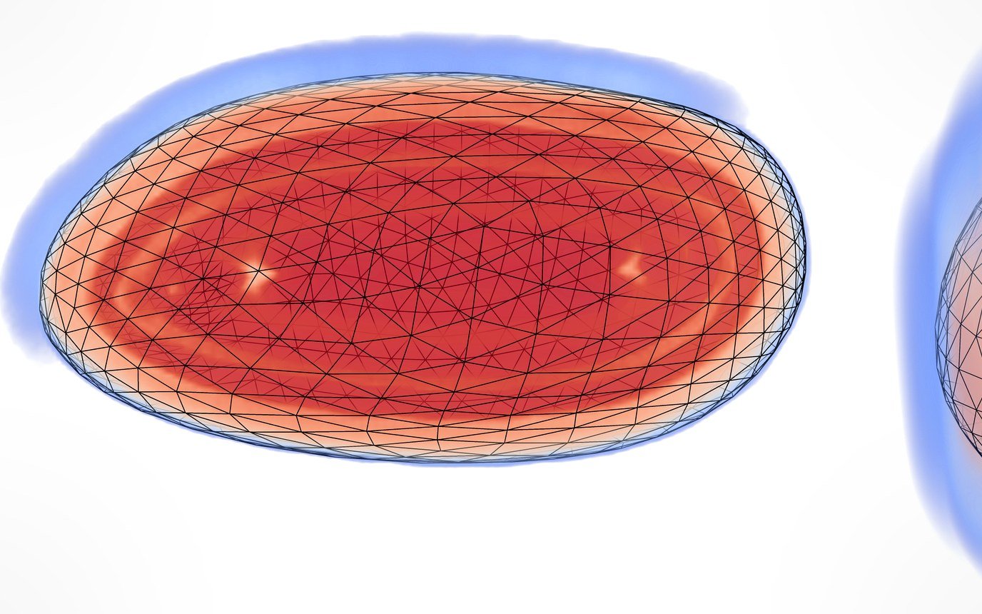 Multi-Objective Sonication Trajectory Optimizer for Volumetric BBB Opening